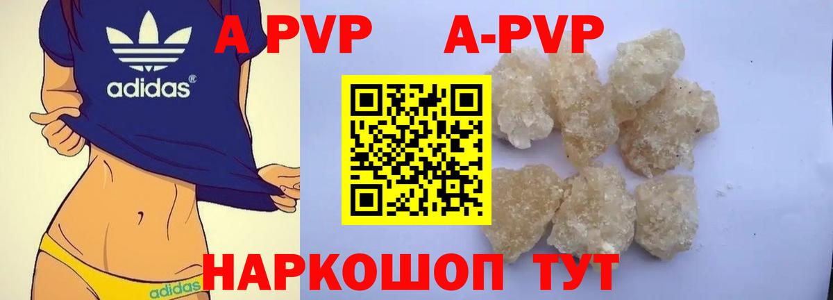 A-PVP СК Россошь