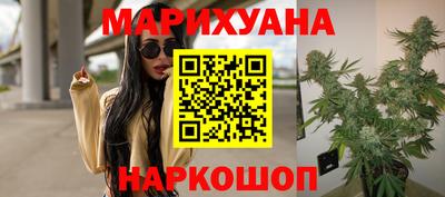прущие грибы Можга